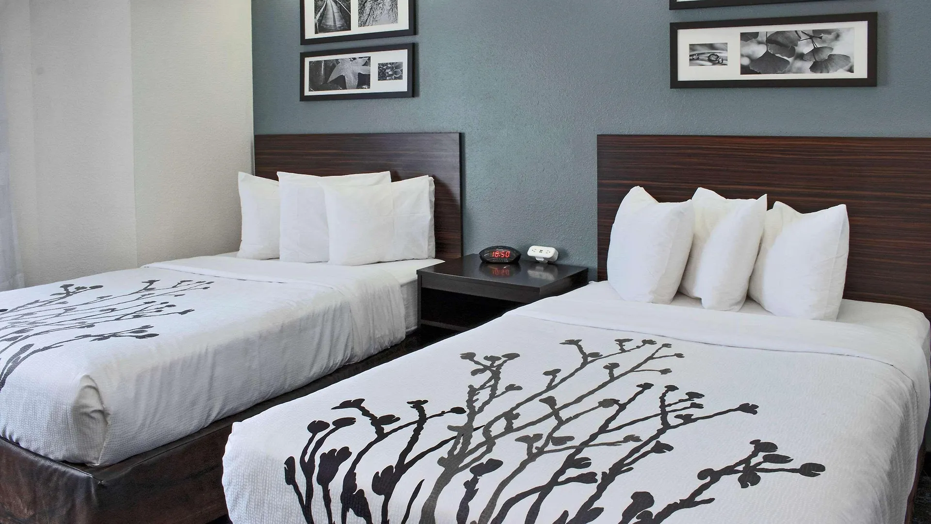 Sleep Inn Lake Wright - Norfolk Airport 2*,  ארצות הברית