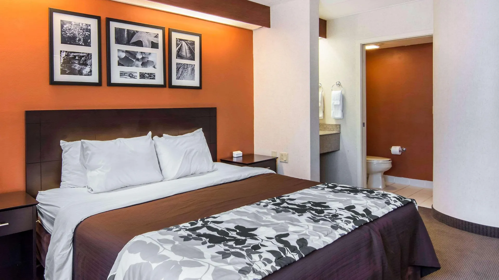 Sleep Inn Lake Wright - Norfolk Airport 2*,