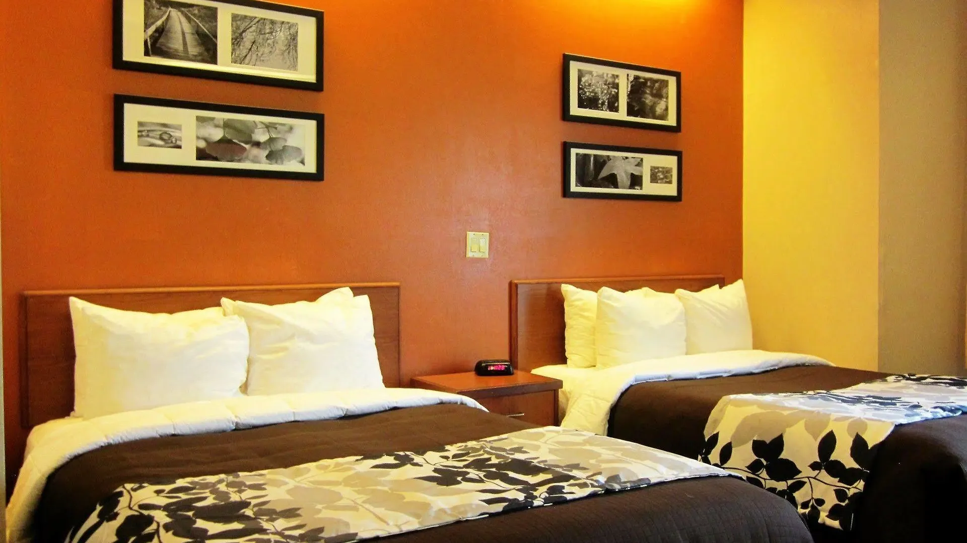 **  Sleep Inn Lake Wright - Norfolk Airport ארצות הברית