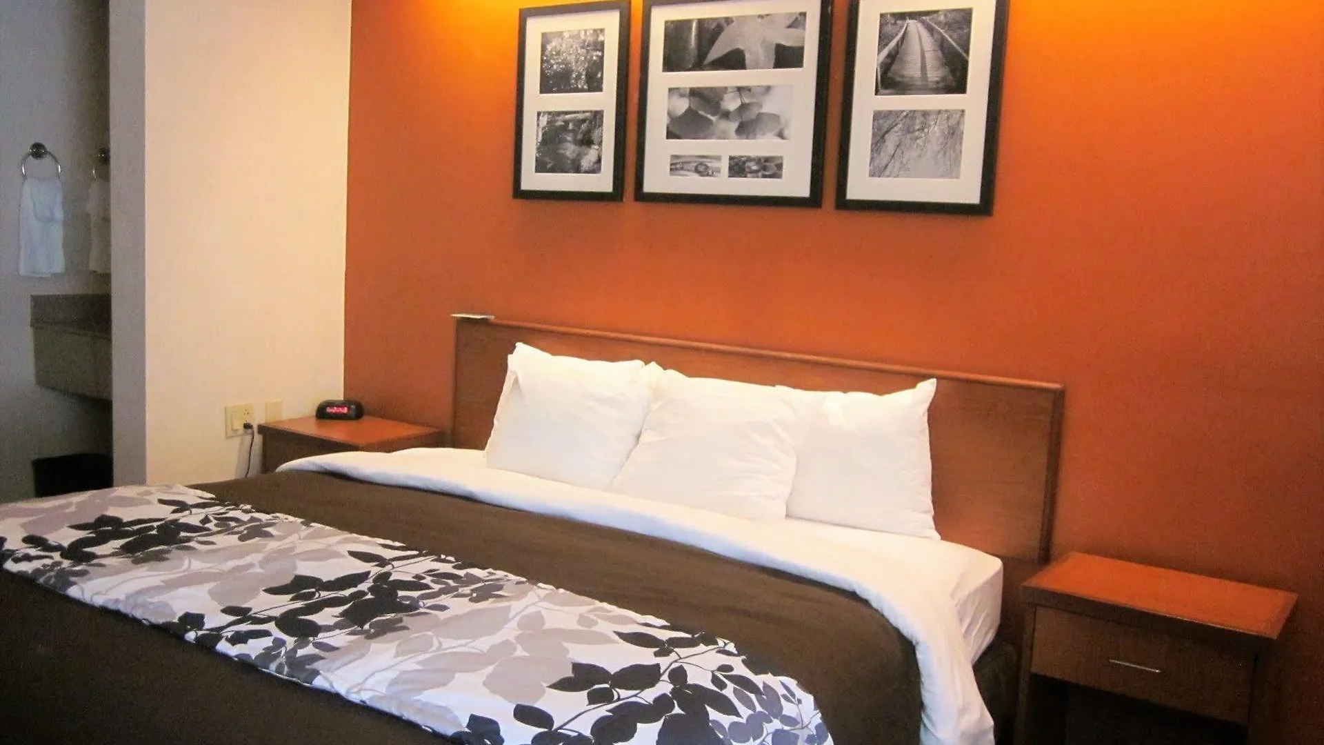 Sleep Inn Lake Wright - Norfolk Airport
