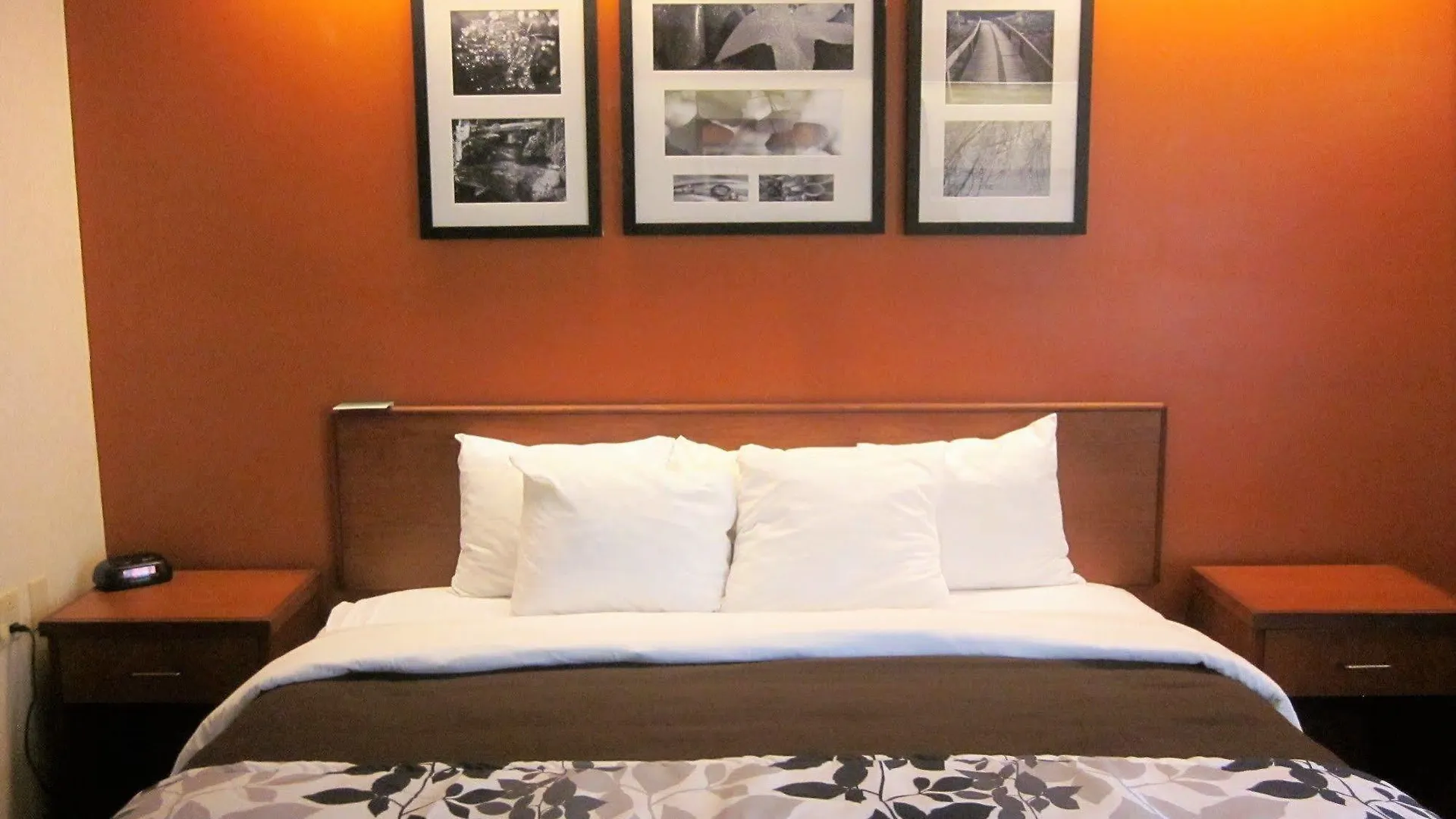 Sleep Inn Lake Wright - Norfolk Airport ארצות הברית